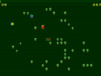 Bugs